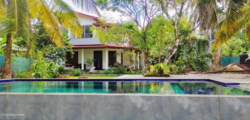 4 BR VILLA AHANGAMA, paddy field view