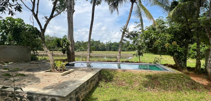 4 BR VILLA AHANGAMA, paddy field view